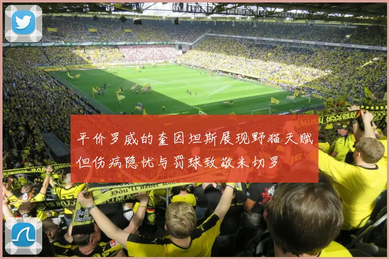 平价罗威的奎因坦斯展现野猫天赋但伤病隐忧与罚球致敬米切罗